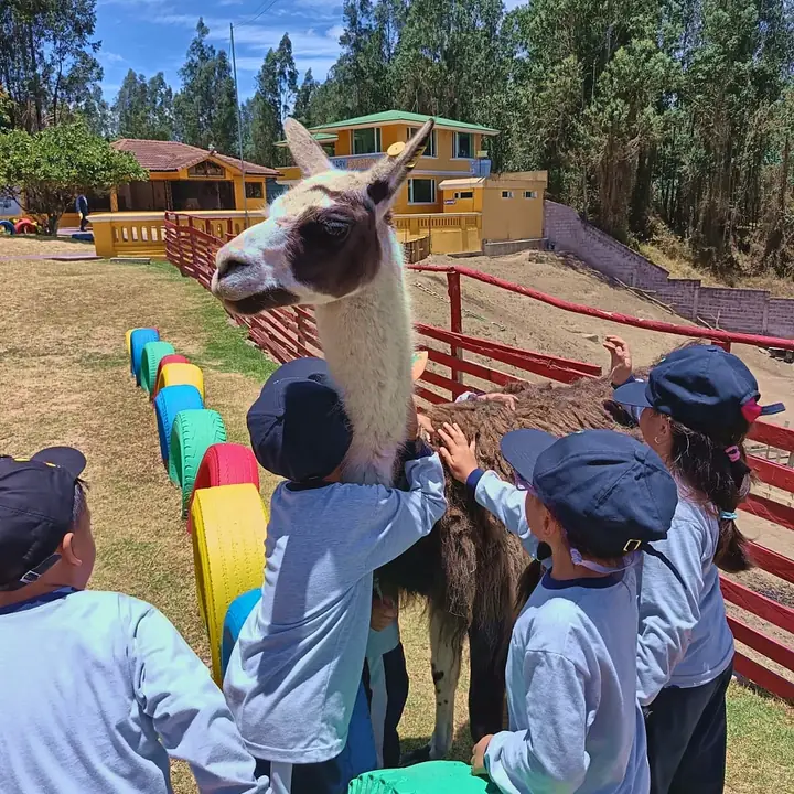 Un grupo de niños con gorra rodea a la llama de la Mini Farm y le acaricia el lomo.